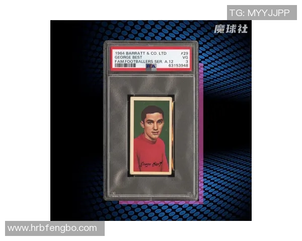 专注收藏足球球星卡的博主分享最全收藏经验与市场动态