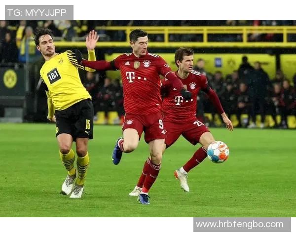 冰岛足球传奇球星的崛起历程与他带给世界足坛的荣耀与激情 冰岛足球传奇球星的崛起历程与他带给世界足坛的荣耀与激情